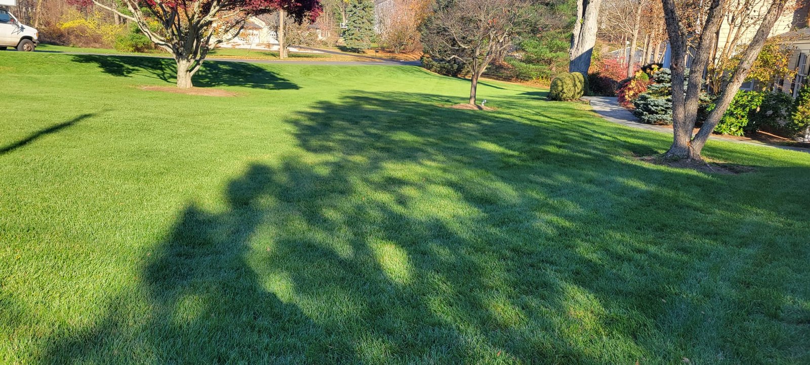 Garden beds